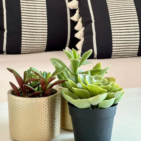 L'estran Appartement Les Sables-dʼOlonne