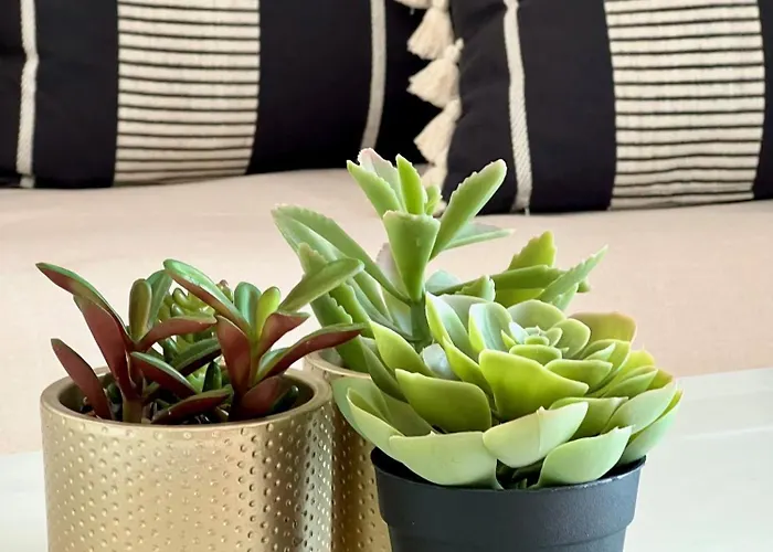 L'estran Apartmán Les Sables-dʼOlonne